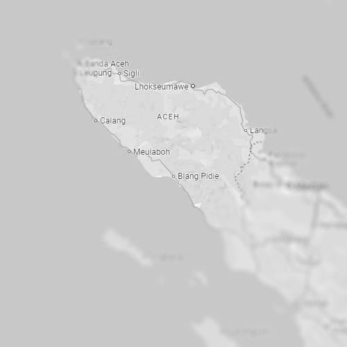 Indonesian Sumatran Mandheling Gr1 - Single Origin | Dark Roast