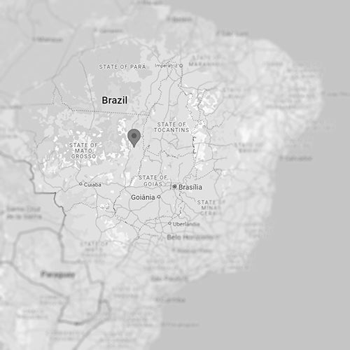 Map showing the Cerrado region in Brazil, known for its specialty coffee beans.