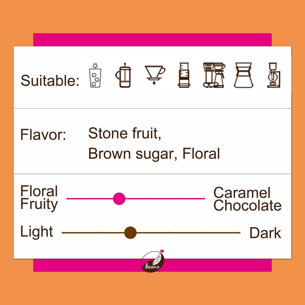 Information about 'Kenya AA AB' coffee beans, highlighting suitable brew methods, flavor notes, and medium light roast level.