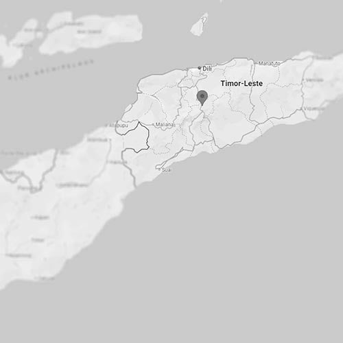 Map showing the coffee-growing regions of Timor, renowned for unique coffee profiles.